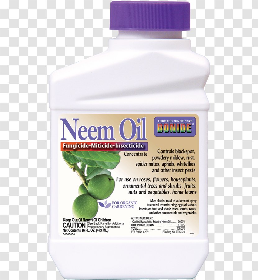 Insecticide Neem Oil Tree Transparent PNG