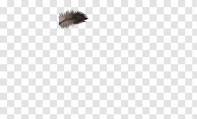 Feather Fur Wing Tail Eyelash - Animal - Ostrich Transparent PNG