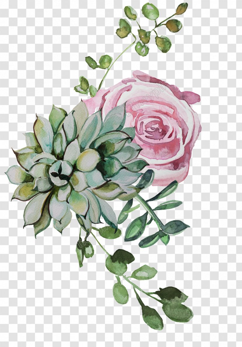 Garden Roses Image Download - White - Floribunda Transparent PNG