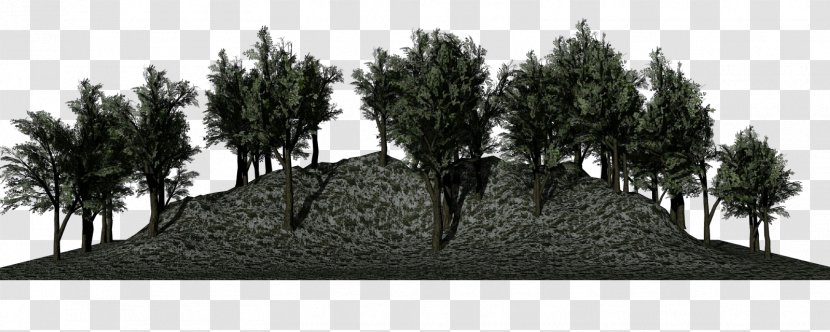 Tree Black-and-white Woody Plant Land Lot - Landscape Grass Transparent PNG
