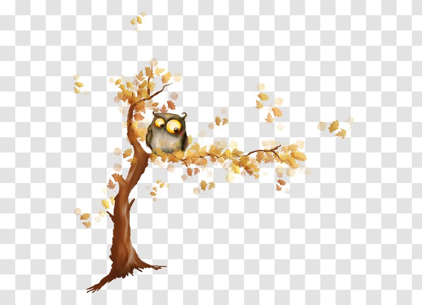 Image Tree JPEG Owl Transparent PNG