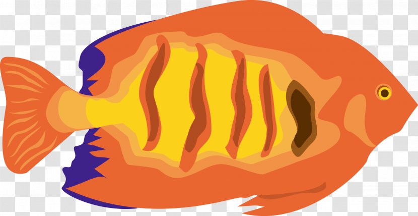 Fish,Vector - Fish - Template Transparent PNG