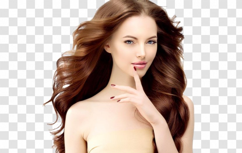 Hairstyle Model Beauty Parlour Updo - Flower - European And American Fashion Beautiful Women Transparent PNG