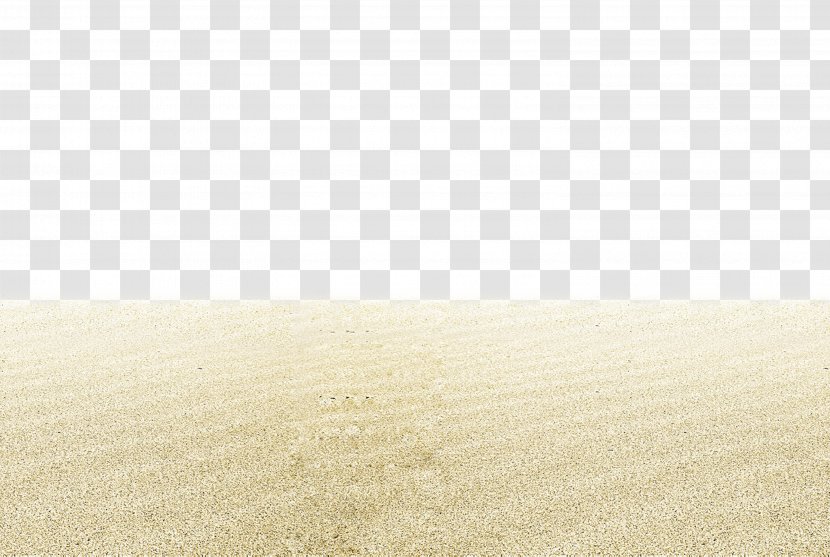 Sandy Beach Euclidean Vector - Search Engine Transparent PNG