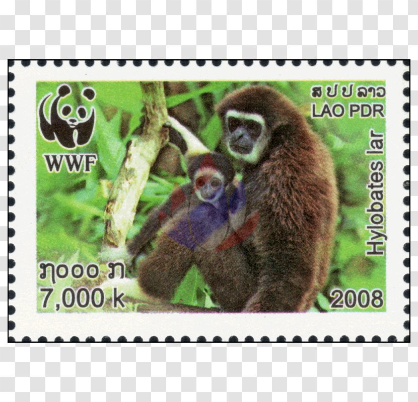 Monkey Postage Stamps Mail Laos Burma - Gibbon Transparent PNG