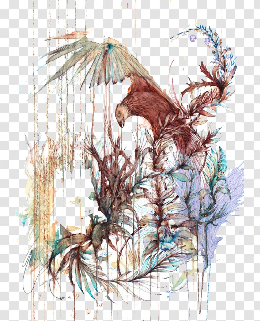 Drawing Watercolor Painting Artist Illustration - Paint - Eagle Transparent PNG
