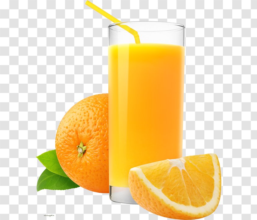 Orange Juice Drink Fizzy Drinks Soft Transparent PNG
