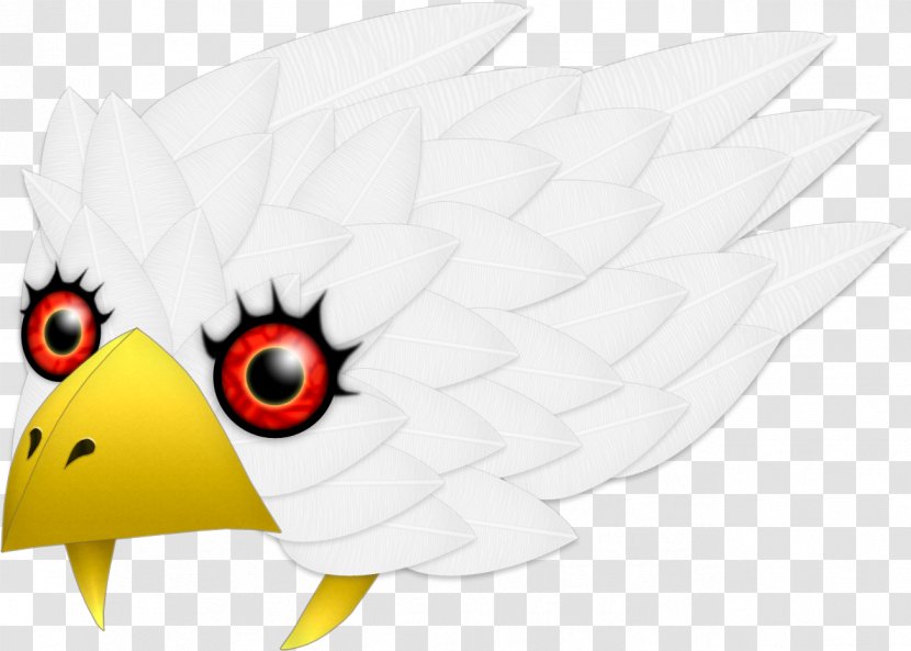 Beak Chicken Illustration Clip Art Bird Transparent PNG