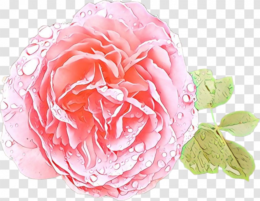Pink Flower Cartoon - Floribunda - Family Camellia Transparent PNG