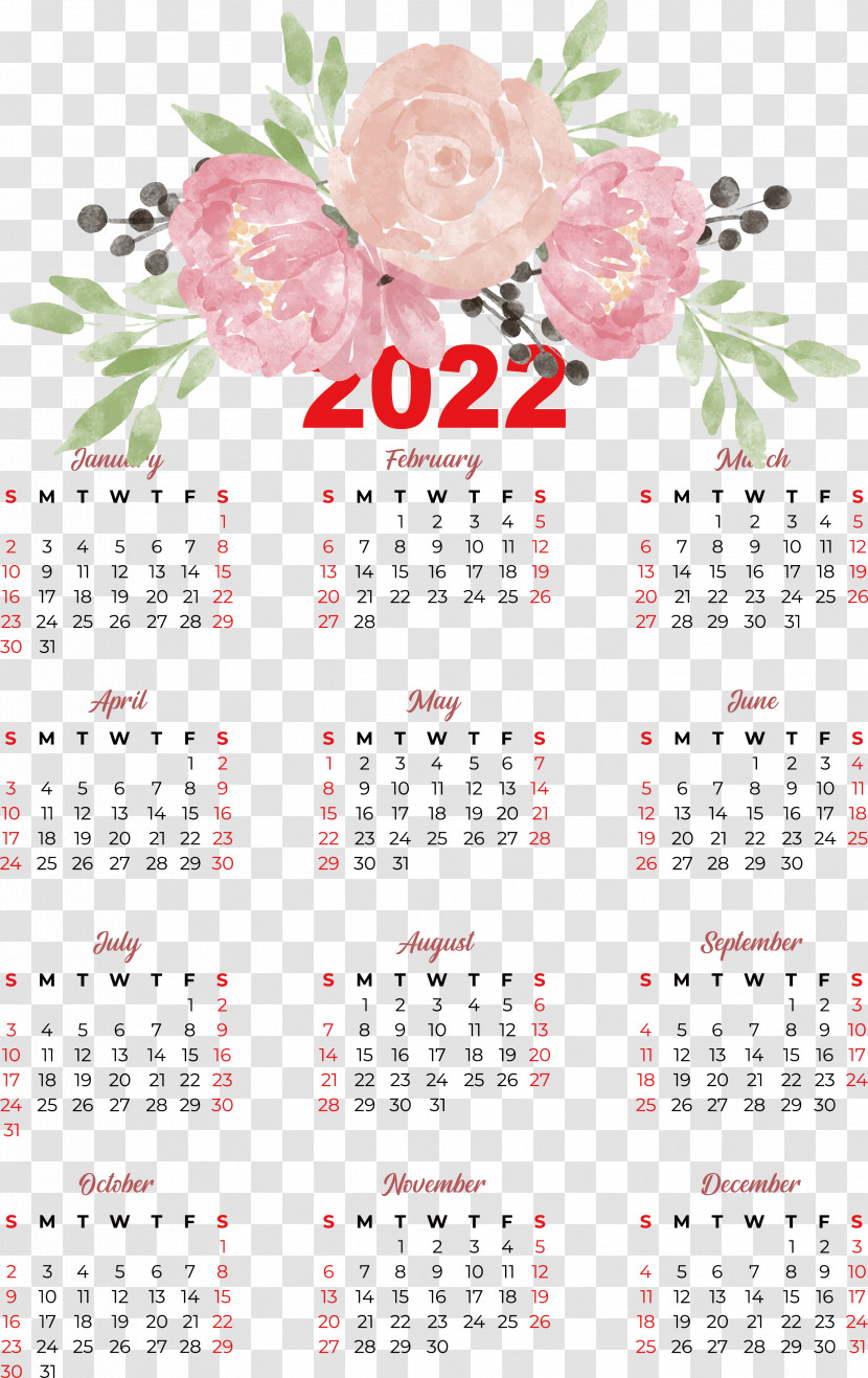 Flower Calendar Meter Plant Science Transparent PNG