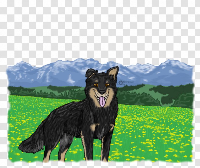 Dog Breed Obedience Training Razas Nativas Vulnerables Trial - Grass - Wild Transparent PNG