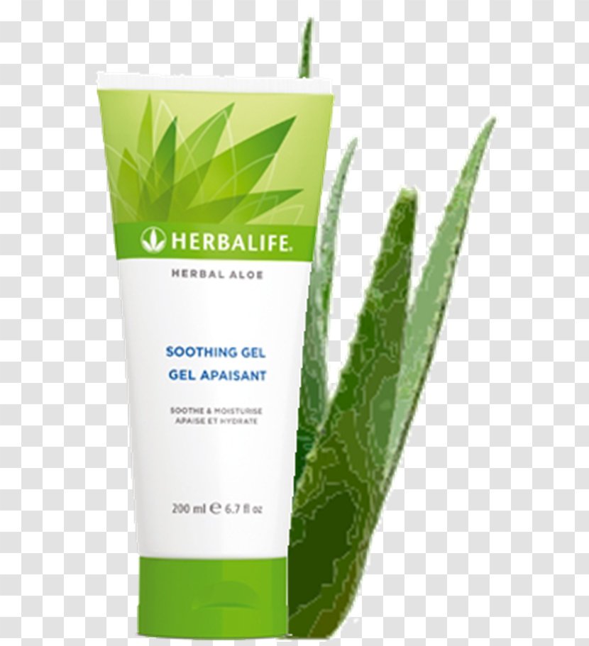 Lotion Herbalife Aloe Vera Skin Gel - Sabila Transparent PNG