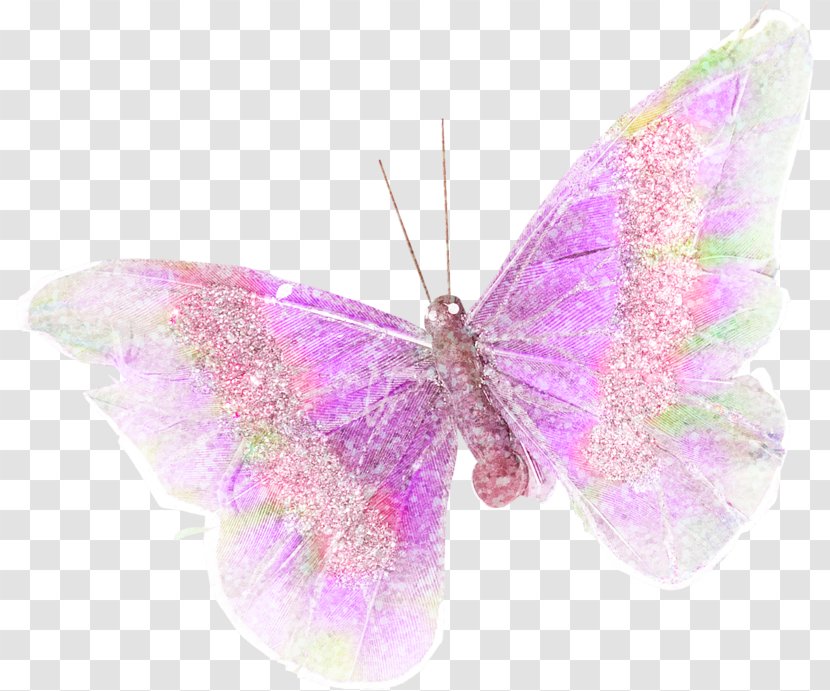 Butterfly Purple Lilac - Lavender Transparent PNG