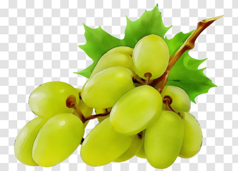 Grape Seedless Fruit Grapevine Family Plant - Leaf - Leaves Transparent PNG