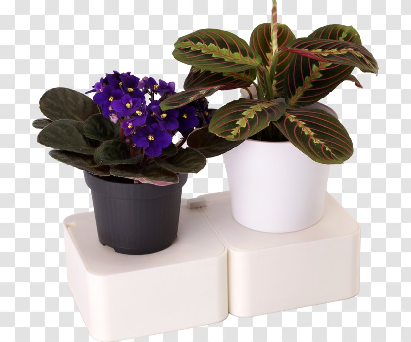 Flowerpot Houseplant Herb - Flower Transparent PNG