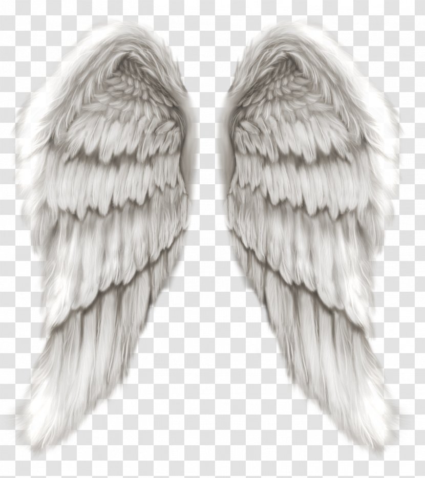 Michael Angel Clip Art - Supernatural Creature - Wings Transparent PNG
