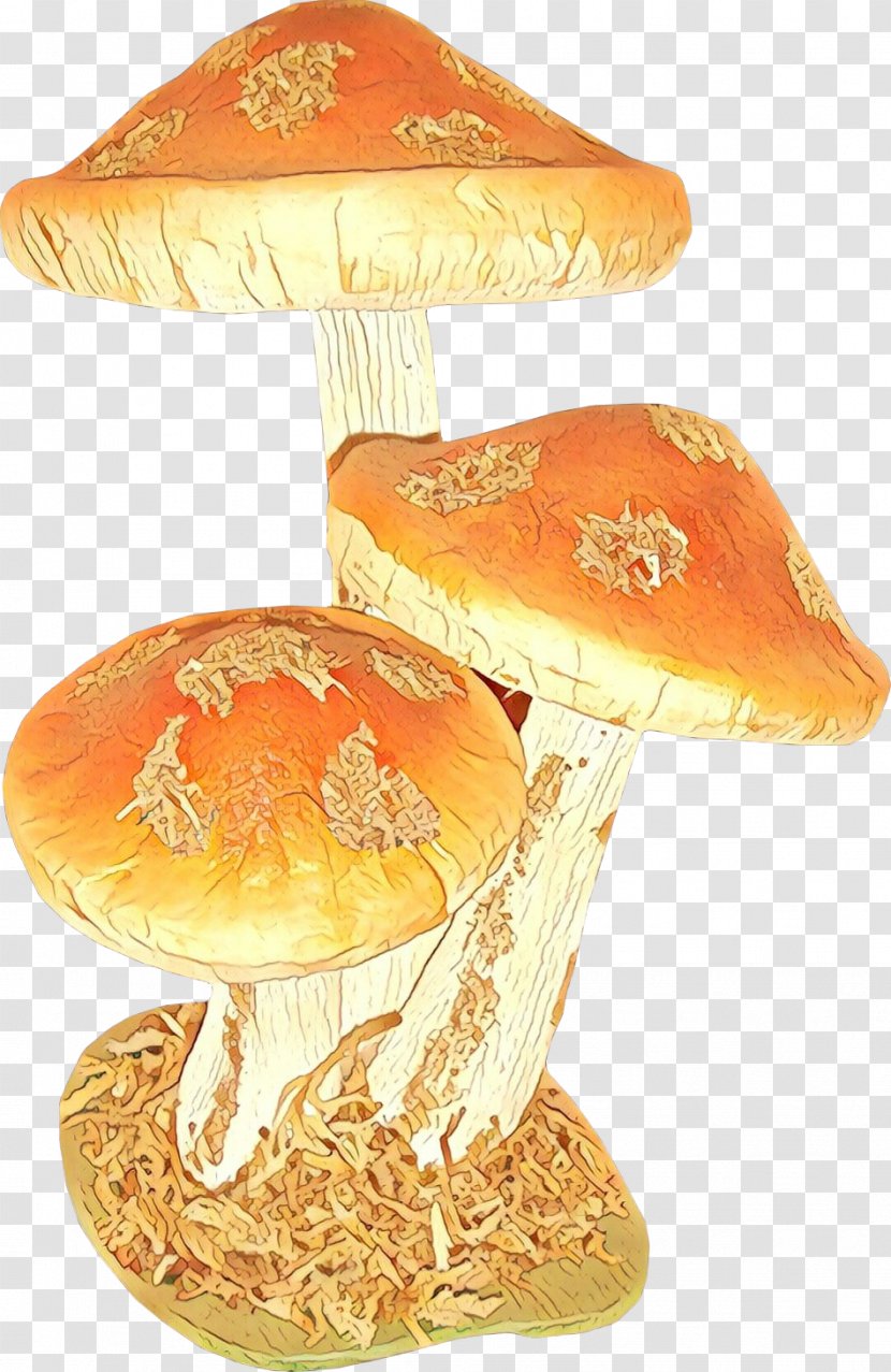Orange - Mushroom - Fungus Agaric Transparent PNG