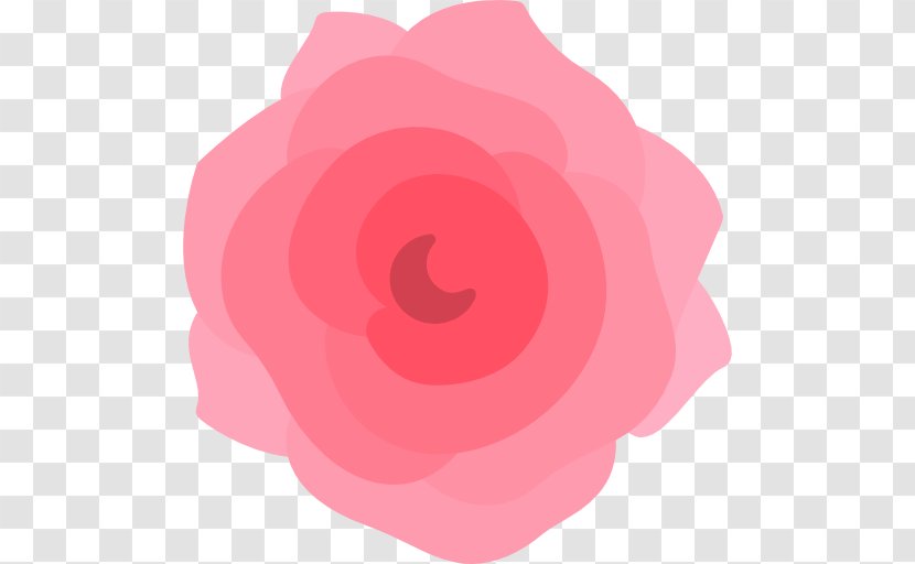 Garden Roses Petal - Rose Family - Natural Blossom Transparent PNG