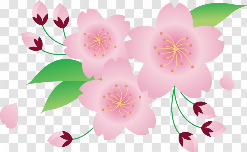 Japan Clip Art Openclipart Cherry Blossom Illustration Transparent PNG