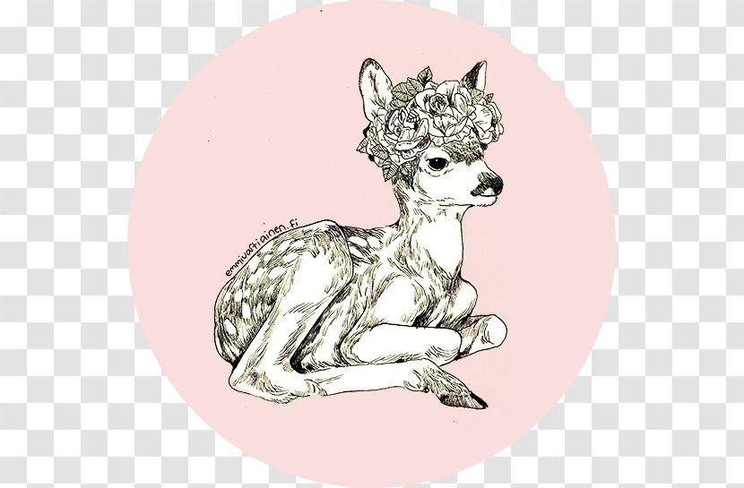 Red Deer Roe Antler - Cute Transparent PNG