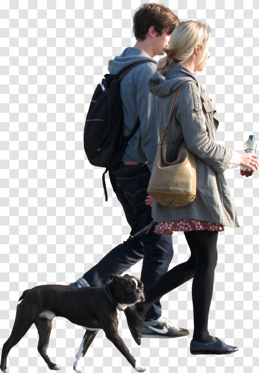 Dog Breed Walking Obedience Training - Love Transparent PNG
