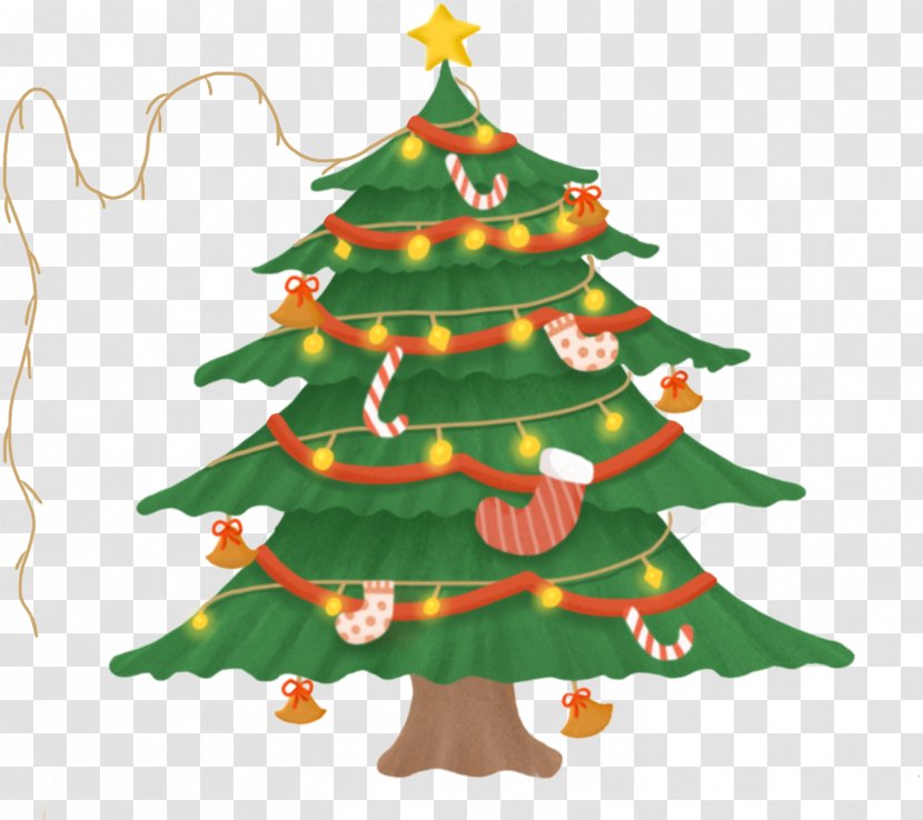 Christmas Tree - Conifer Pine Transparent PNG