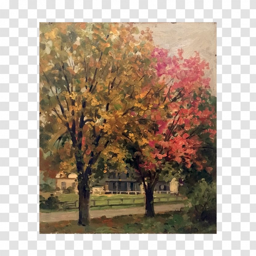 Maple Painting Leaf Tree - Spring - Watercolor Landscape Transparent PNG