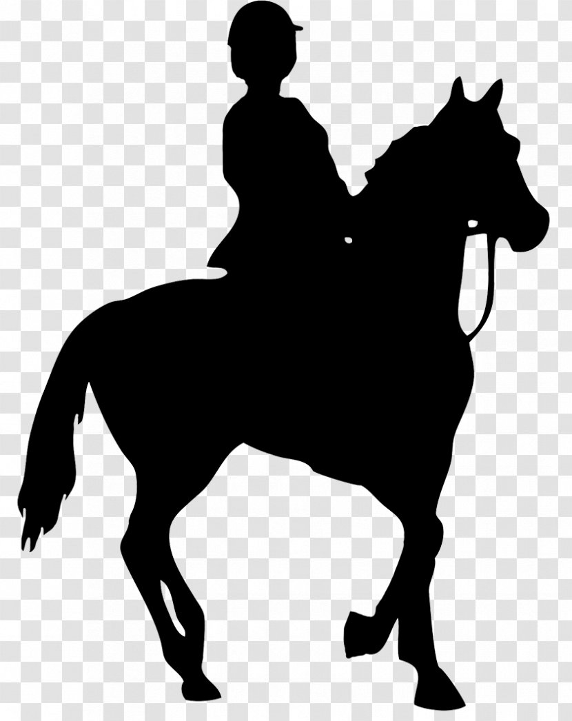 Horse&Rider Equestrian Silhouette Clip Art - Sport - Horse Transparent PNG