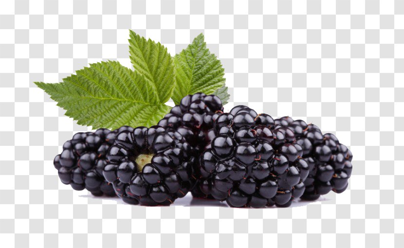 Frutti Di Bosco Black Raspberry Blackberry Red - Antioxidant - Raspberries HD Transparent PNG