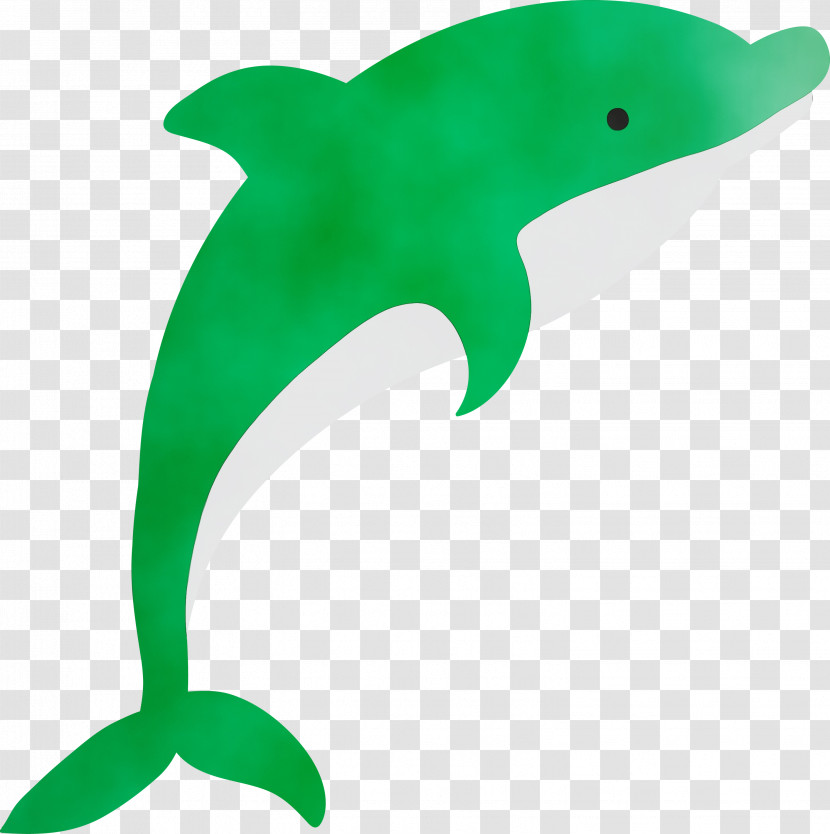 Dolphin Bottlenose Dolphin Fin Green Animal Figure Transparent PNG