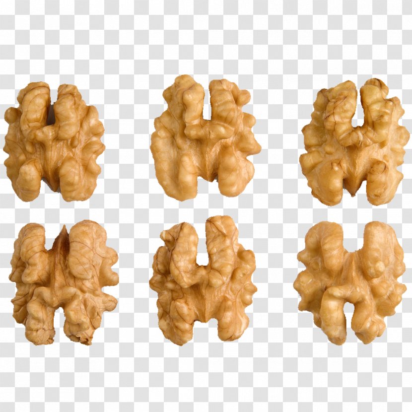 Shahmirzad Tuyserkan English Walnut Fesenjān - Nut Transparent PNG