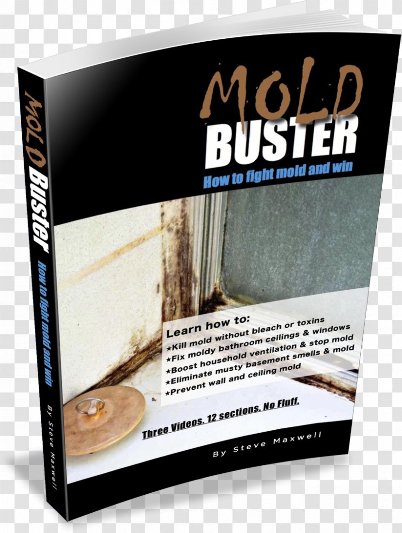 Book Mold Insurance General Contractor Architectural Engineering - Road Lines Transparent PNG