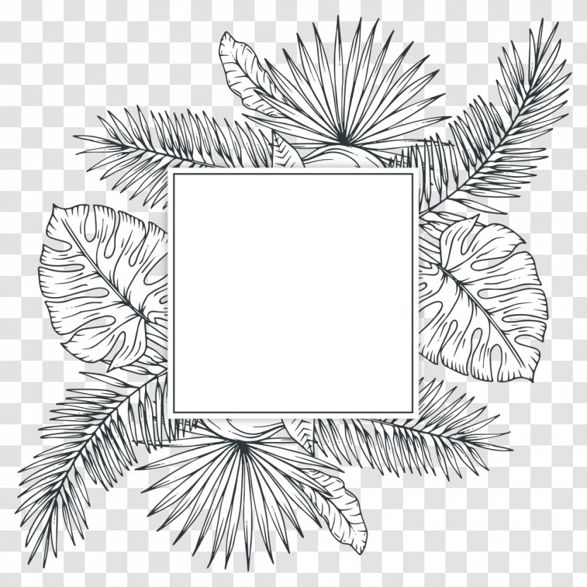 Tropics Plant Sketch - Arecaceae - Tropical Plants Transparent PNG