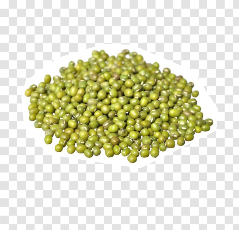 Organic Food Soybean Sprout Sprouting Mung Bean - Seed Transparent PNG