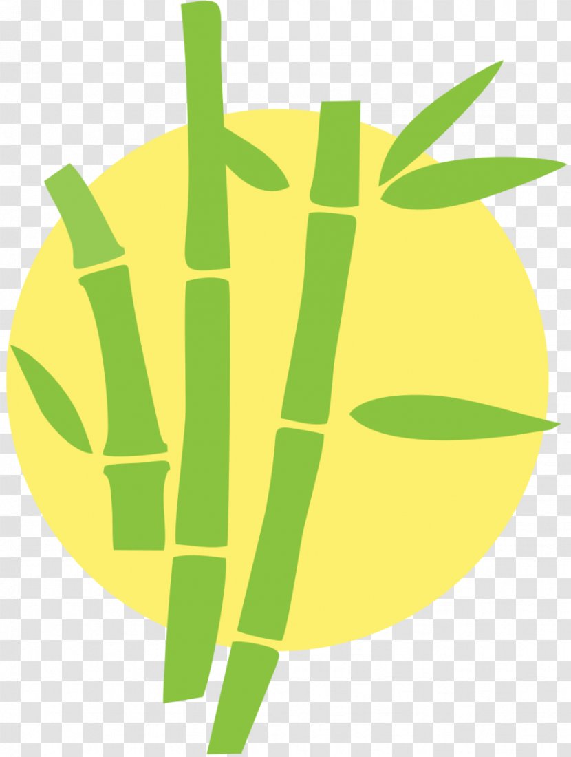 Bamboo Euclidean Vector Investment Giant Panda Author - Commodity Transparent PNG