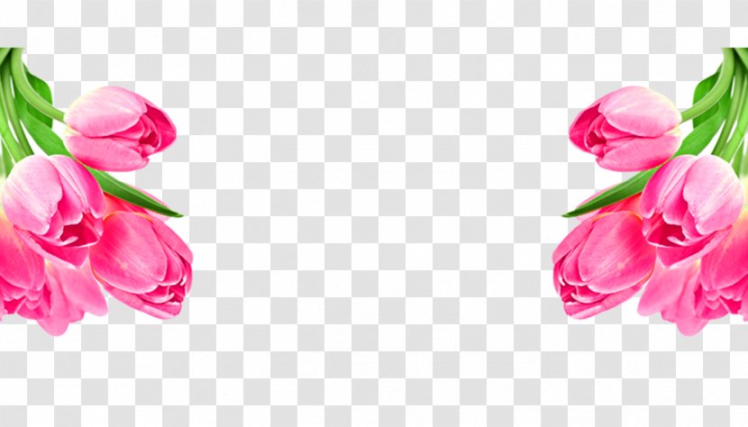 Garden Roses Poster Tulip - Flower Bouquet Transparent PNG