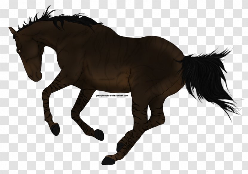 Mare Foal Mustang Stallion Rein - Alone Illustration Transparent PNG