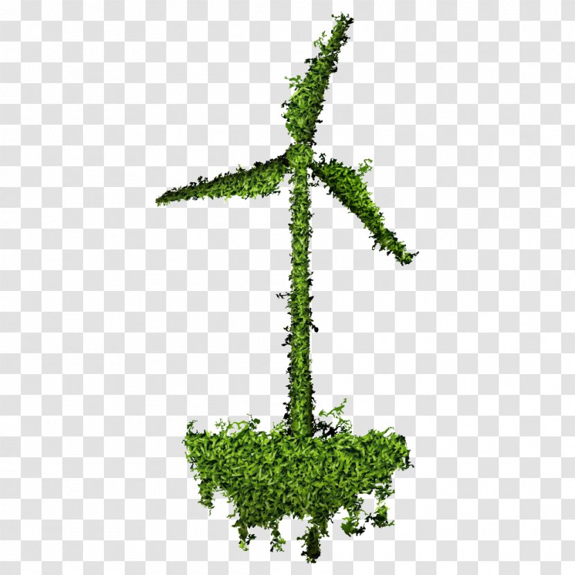 Photography Illustration - Grass - Energy And Environmental Protection Transparent PNG