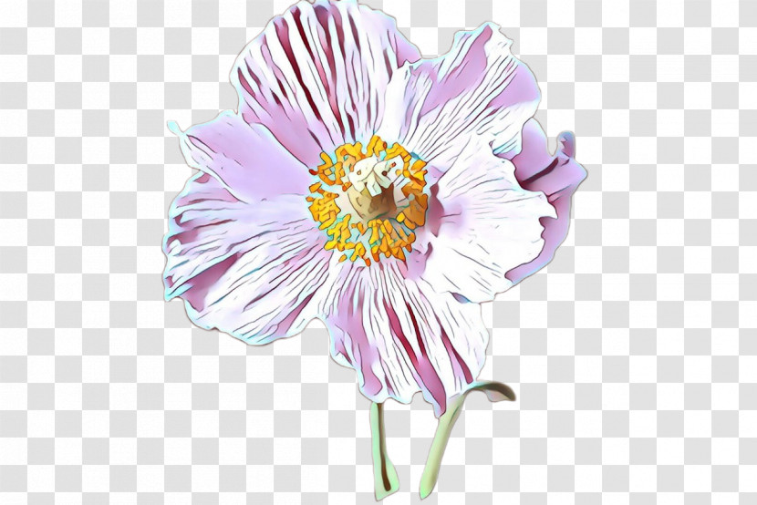 Flower Plant Petal Gerbera Cut Flowers Transparent PNG