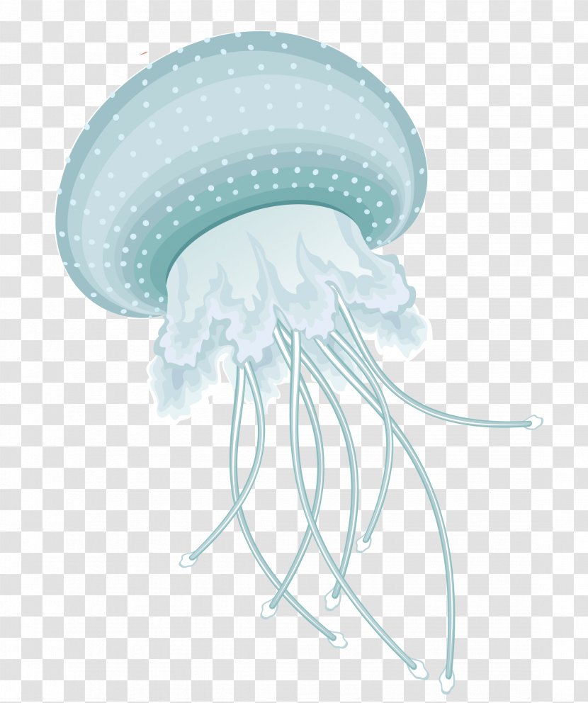 Jellyfish Information Clip Art - Invertebrate - Organism Transparent PNG