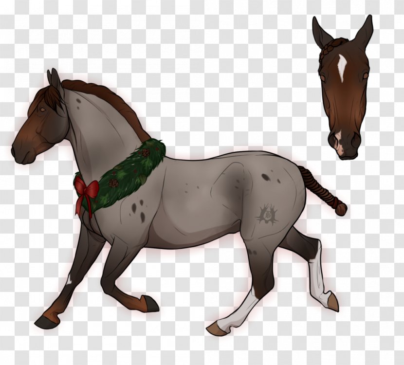 Mule Mustang Foal Stallion Mare - Neck Transparent PNG