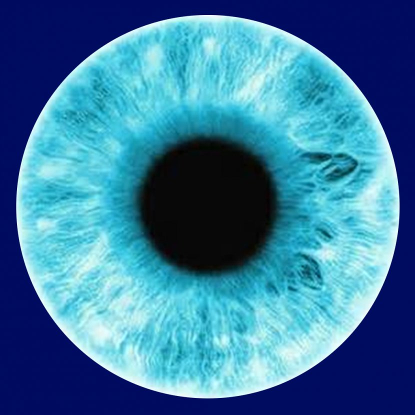 Human Eye Iris Pupil - Cartoon - Eyes Transparent PNG