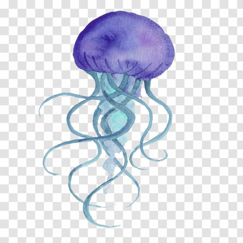 Jellyfish Watercolor Painting Vector Graphics Image - Art - Watermark Transparent PNG