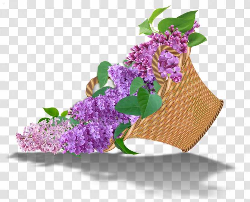 Floral Design Lilac Flower Bouquet Cut Flowers Transparent PNG