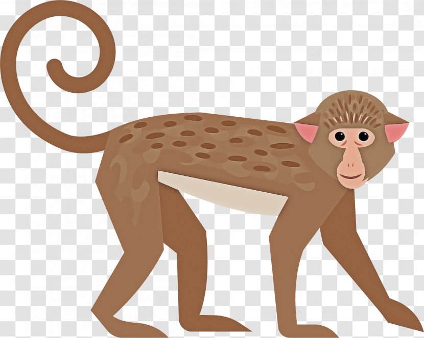 Old World Monkey Animal Figure Tail New Wildlife - Fawn Transparent PNG