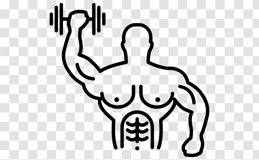 Dumbbell Fitness Centre Exercise Muscle - Thumb Transparent PNG