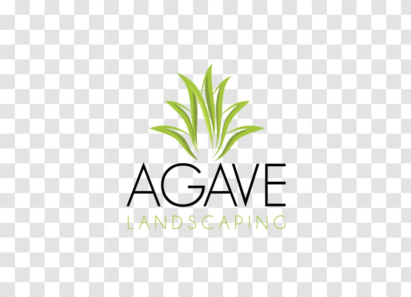 Logo Brand Line Font - Mexican Landscape Transparent PNG