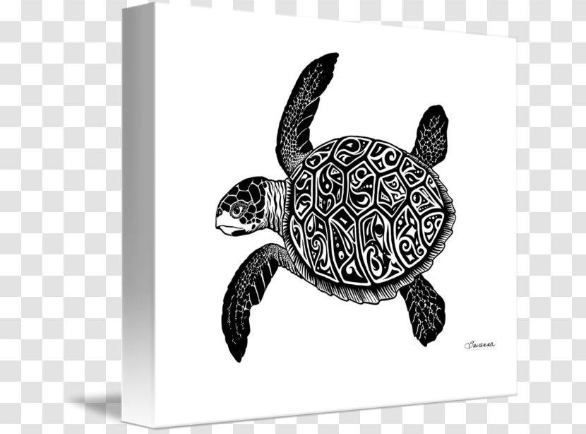 Green Sea Turtle Crush Drawing - Shell - Ink Landscape Material Transparent PNG
