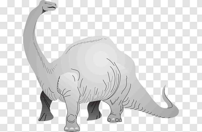 Brachiosaurus Stegosaurus Tyrannosaurus Apatosaurus Brontosaurus - Dinosaur - Long Neck Animals Transparent PNG