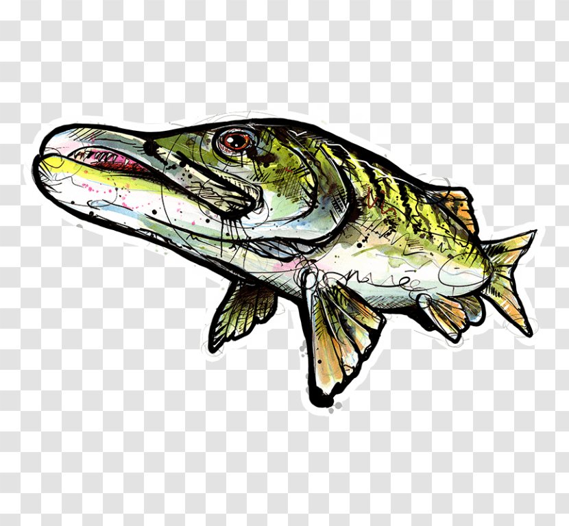 Sticker Decal, Muskie Fishing Localwaters - Artist - Musky Frame Transparent PNG